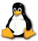 Linux sistema operativo Dell Inspiron Notebook